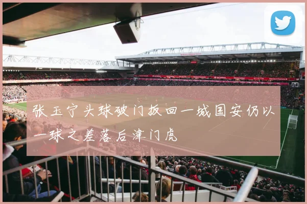 张玉宁头球破门扳回一城国安仍以一球之差落后津门虎