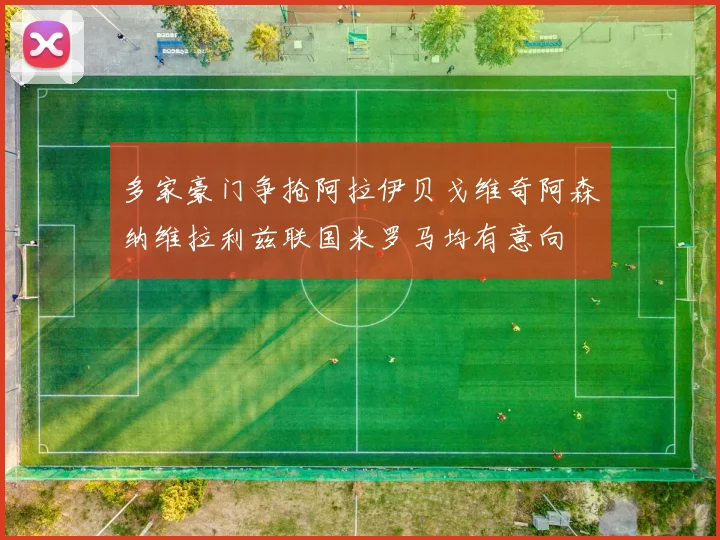 多家豪门争抢阿拉伊贝戈维奇阿森纳维拉利兹联国米罗马均有意向